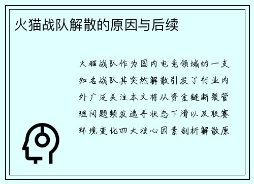 火猫战队解散的原因与后续